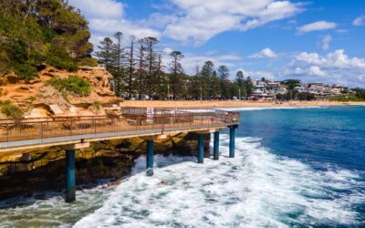 Moving Homes on the Central Coast? Here’s What You Need to Know